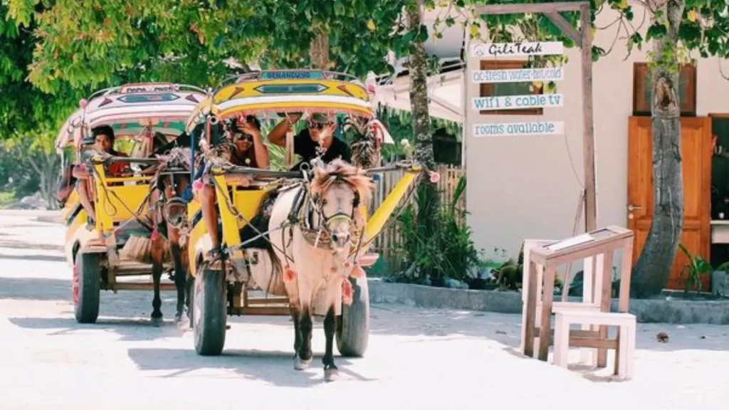Near Gili Meno Port transportation option with traditional cidomo for local travel